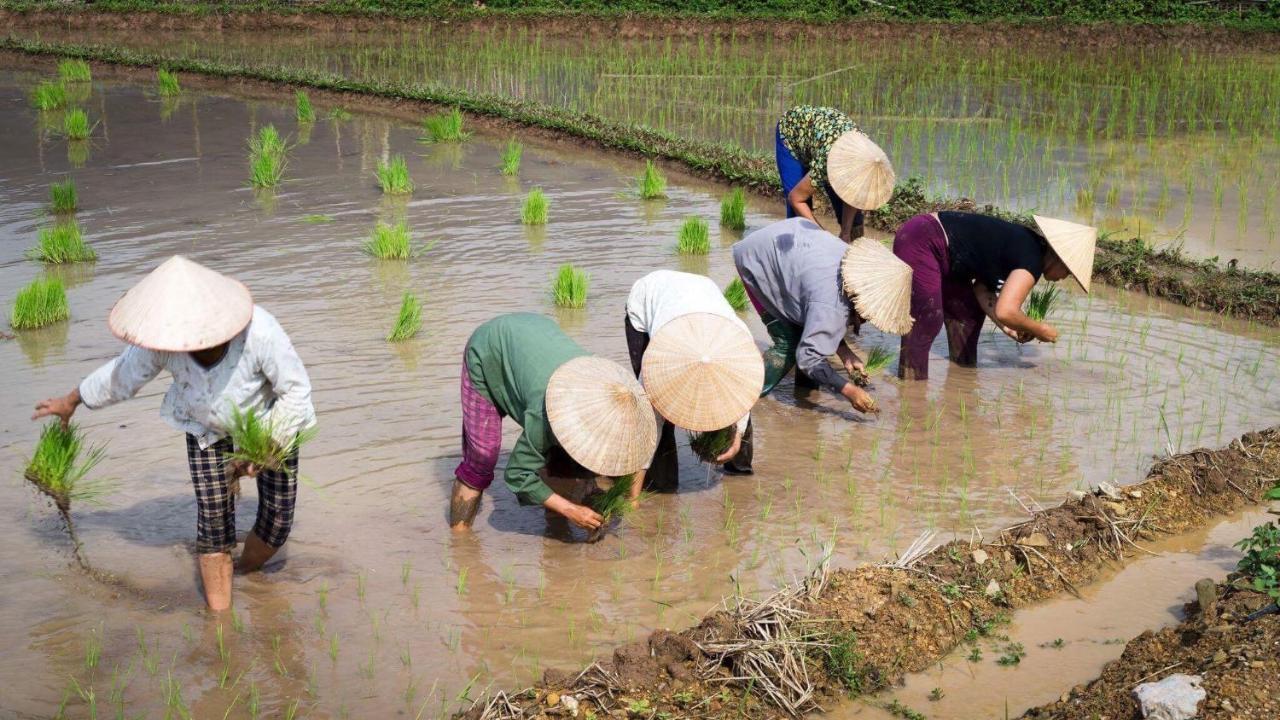 Nha Tan - Mai Chau Homestay And Tours Zewnętrze zdjęcie