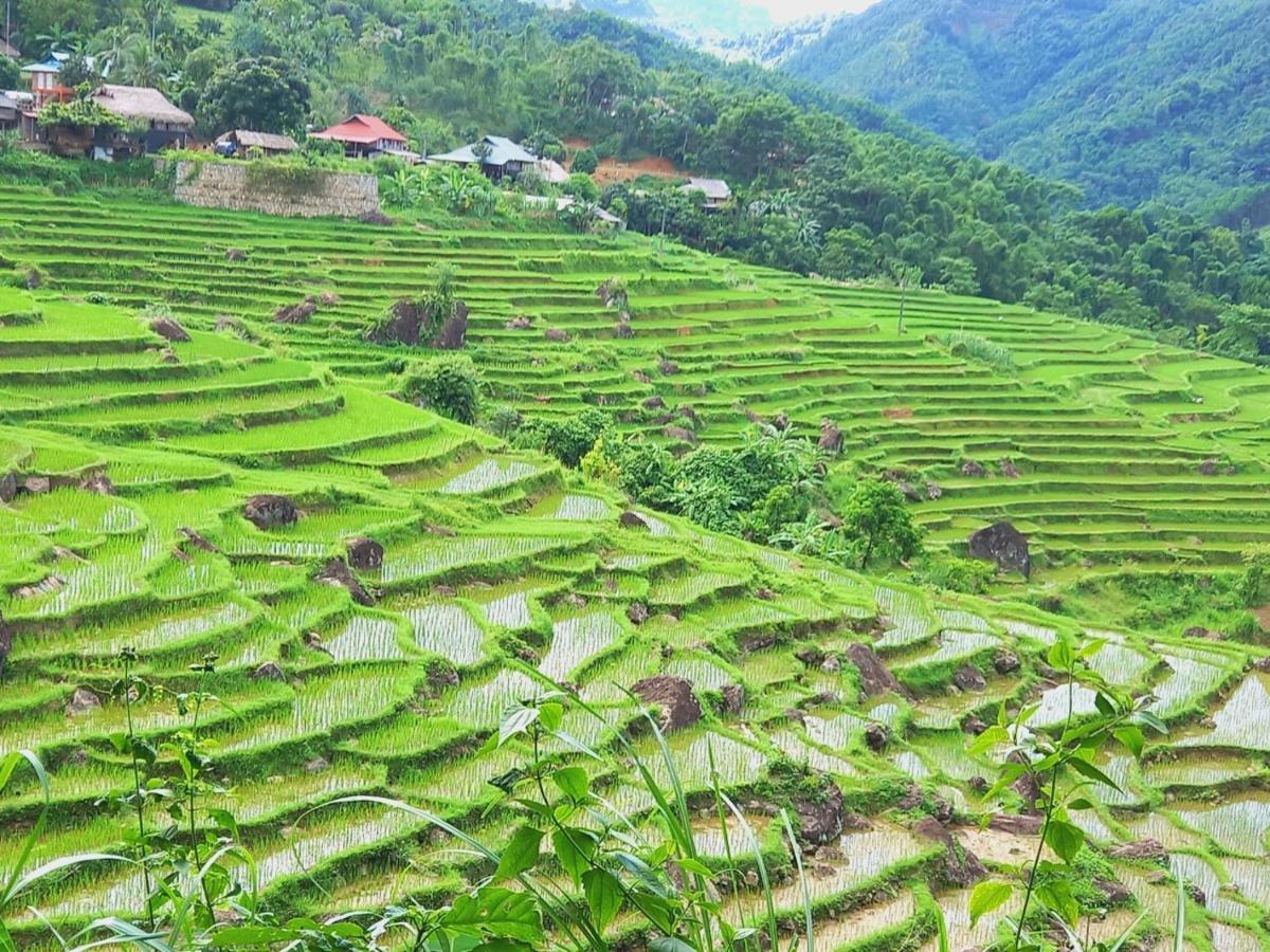 Nha Tan - Mai Chau Homestay And Tours Zewnętrze zdjęcie