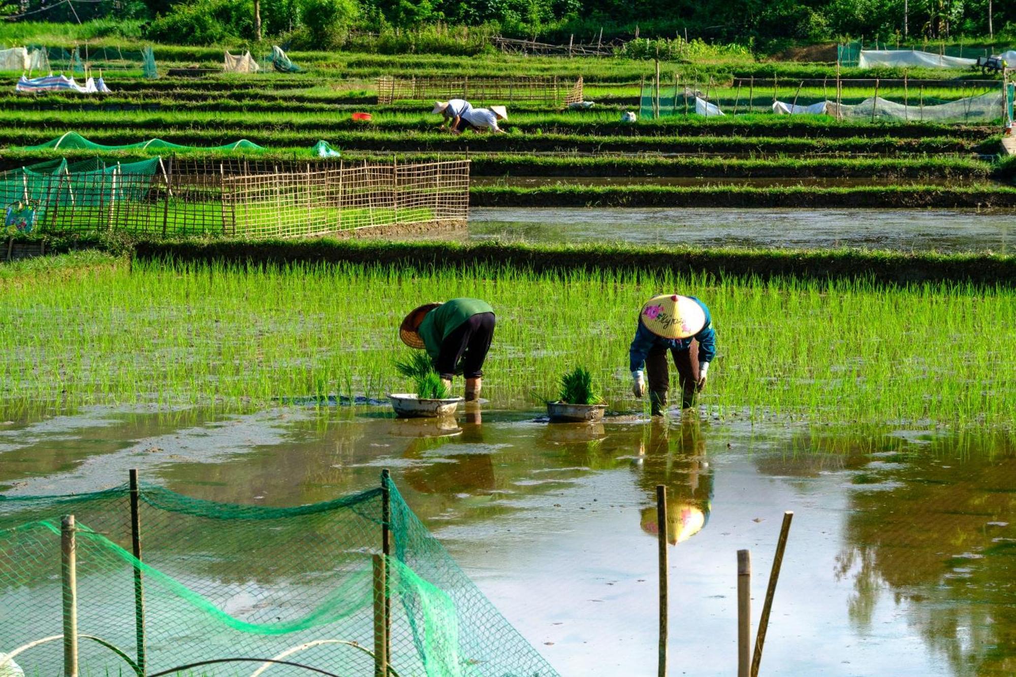 Nha Tan - Mai Chau Homestay And Tours Zewnętrze zdjęcie