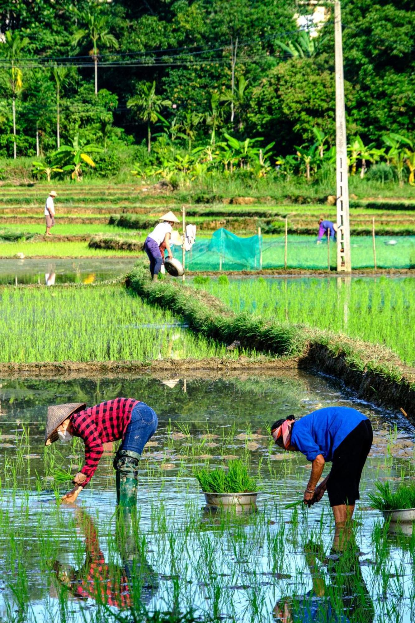 Nha Tan - Mai Chau Homestay And Tours Zewnętrze zdjęcie